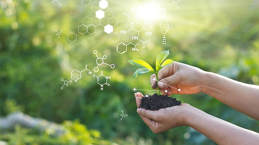 desktop wallpaper the future of agriculture organic farming